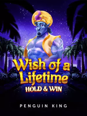 Wish of a Lifetime: Hold & Win